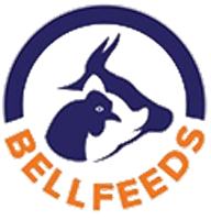 BELFEEDS Logo